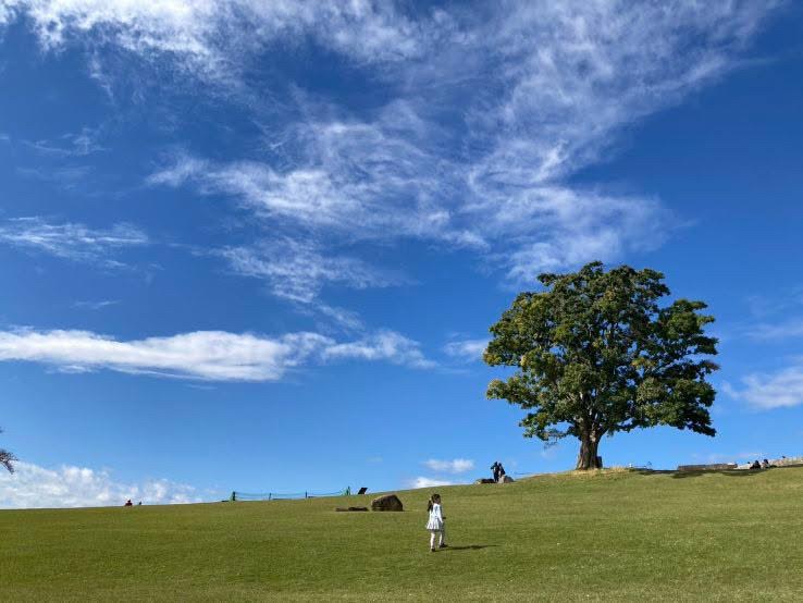 青空と大きな木の下を歩く子どもの様子